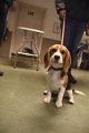 Afb_20190127_ziva (20)